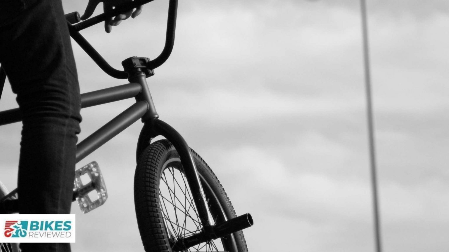 5+ Different Types of BMX Bikes