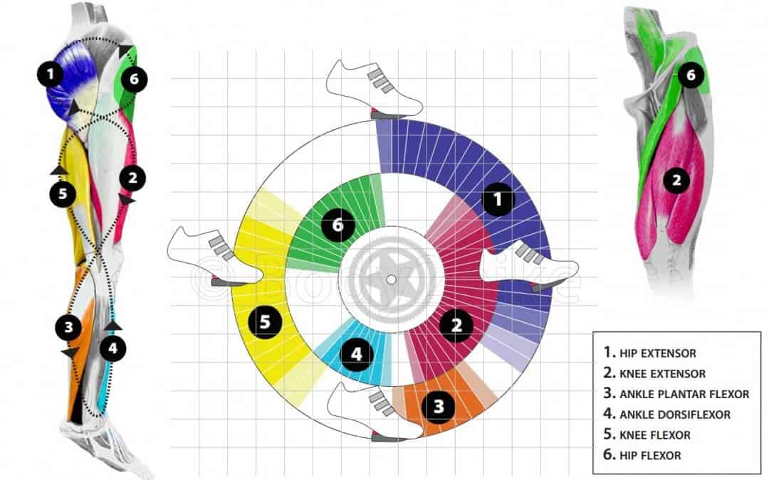 How To Master Your Pedaling? Top 10 Tips BikesReviewed